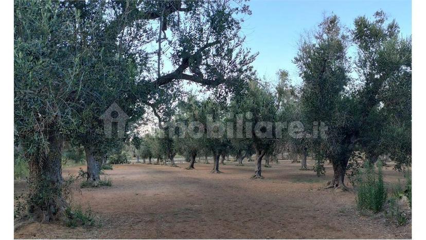 Terratetto unifamiliare Strada Vicinale Colacone Bandello Quagliasiero, Collepasso — foto 8 di 12