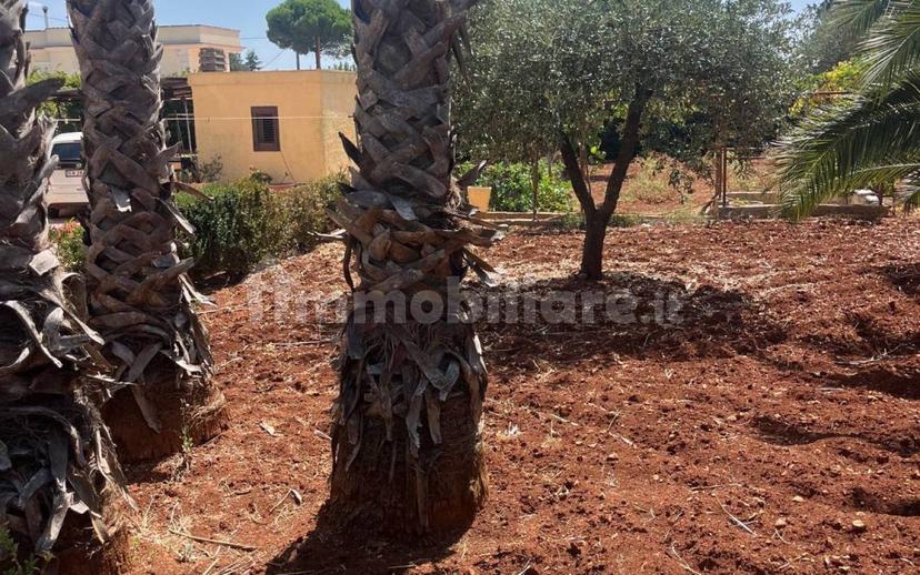 Villa bifamiliare via Crispiano 129/a, Martina Franca — foto 6 di 6