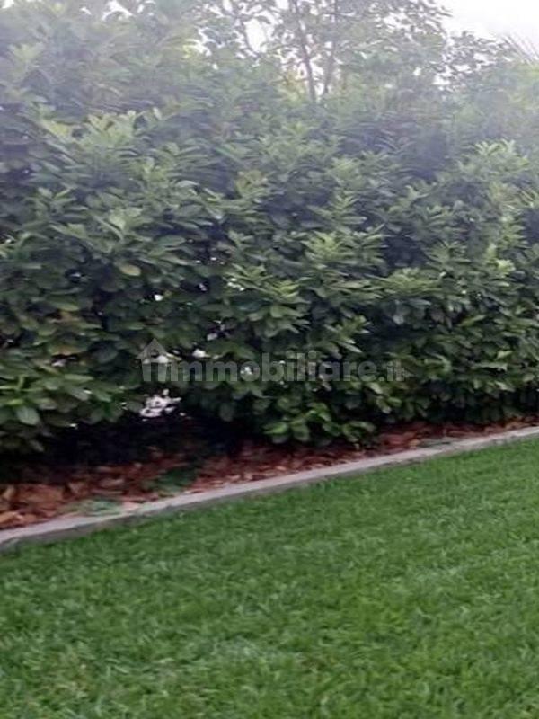 Bilocale ottimo stato, piano terra, Viale Trieste - Villaggio dei Fiori, Vicenza