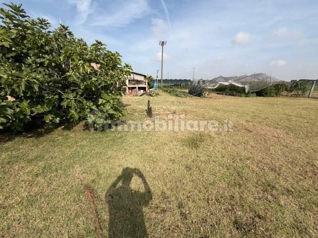 Villa unifamiliare, da ristrutturare, 230 m², Bertinoro — foto 6 di 34