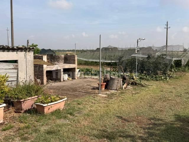 Villa unifamiliare, da ristrutturare, 230 m², Bertinoro — foto 9 di 34
