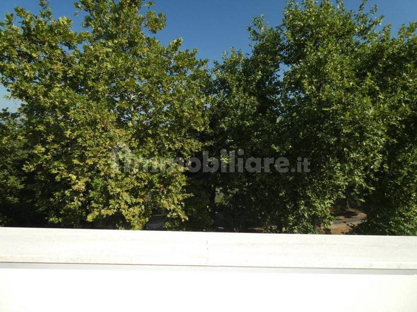 Trilocale viale Giuseppe Verdi 1, Cantalupo in Sabina — foto 27 di 31
