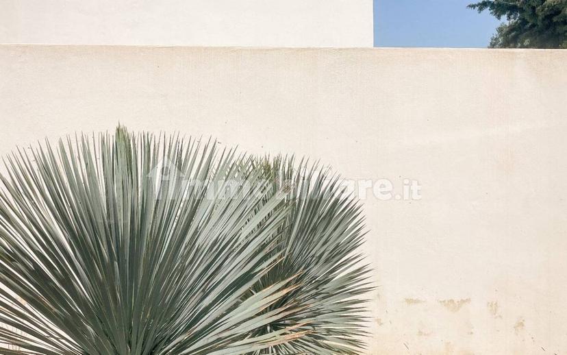 Appartamento in villa san vito dei normanni, San Vito dei Normanni — foto 12 di 50