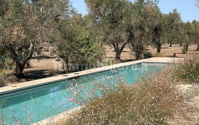 Appartamento in villa san vito dei normanni, San Vito dei Normanni — foto 15 di 50