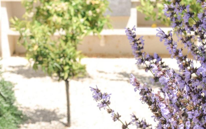 Appartamento in villa san vito dei normanni, San Vito dei Normanni — foto 11 di 50