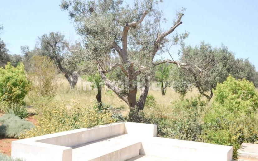 Appartamento in villa san vito dei normanni, San Vito dei Normanni — foto 31 di 50