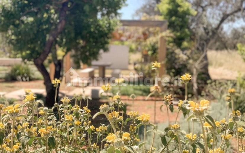 Appartamento in villa san vito dei normanni, San Vito dei Normanni — foto 30 di 50