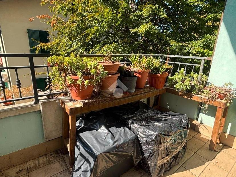 Trilocale via Varsavia 51, Capanni, Savignano sul Rubicone — foto 10 di 32
