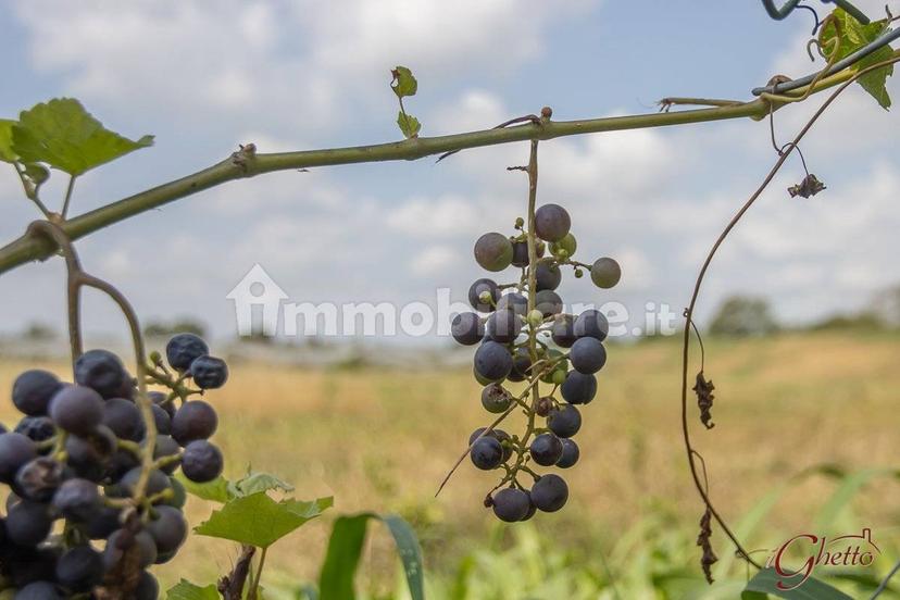 Terratetto unifamiliare via Casoni di Sotto 5, Casoni Sotto, Finale Emilia — foto 24 di 40