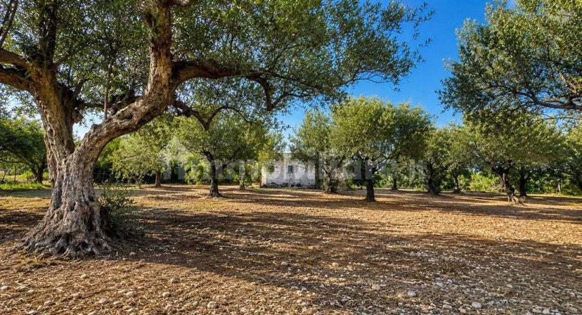 Villa unifamiliare Contrada Cartabubbo, Sciacca — foto 20 di 21