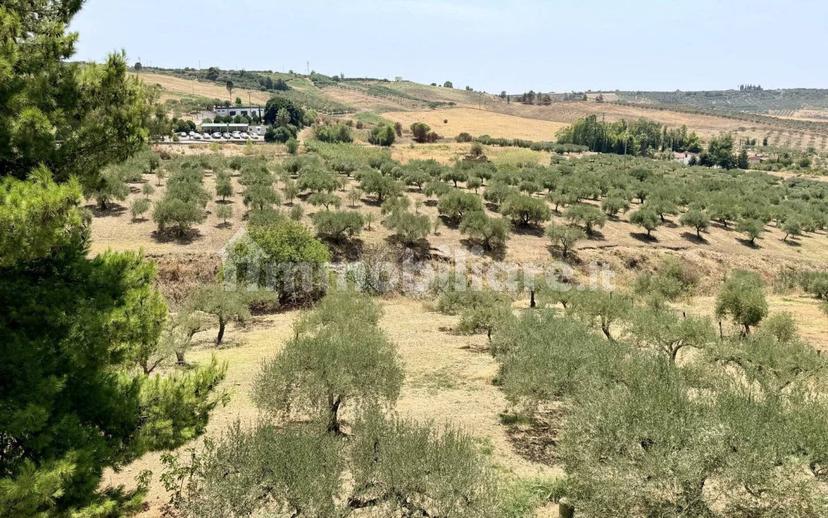 Villa unifamiliare, ottimo stato, 369 m², Ribera — foto 8 di 45