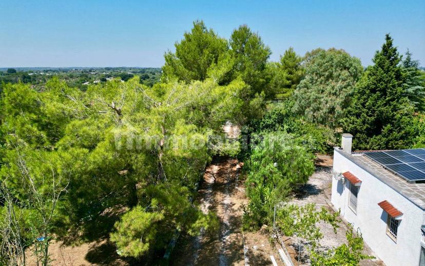 Villa unifamiliare Contrada Gorgofreddo, Gorgofreddo, Monopoli — foto 44 di 52