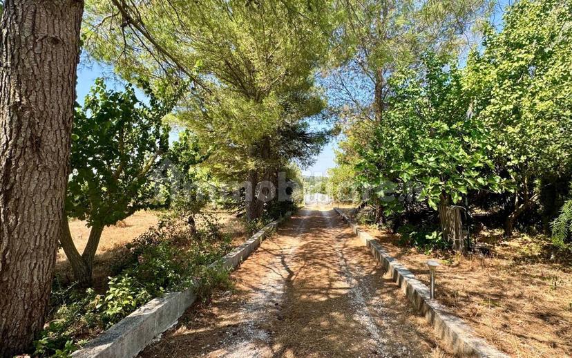 Villa unifamiliare Contrada Gorgofreddo, Gorgofreddo, Monopoli — foto 11 di 52
