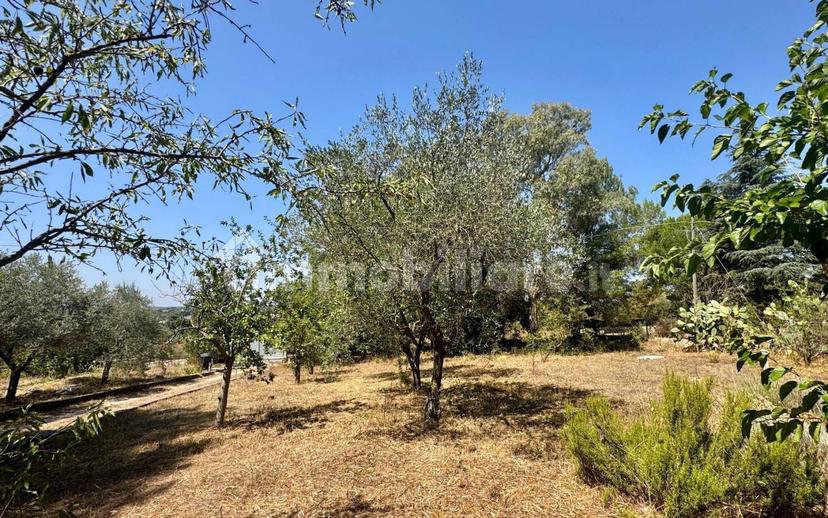 Villa unifamiliare Contrada Gorgofreddo, Gorgofreddo, Monopoli — foto 6 di 52