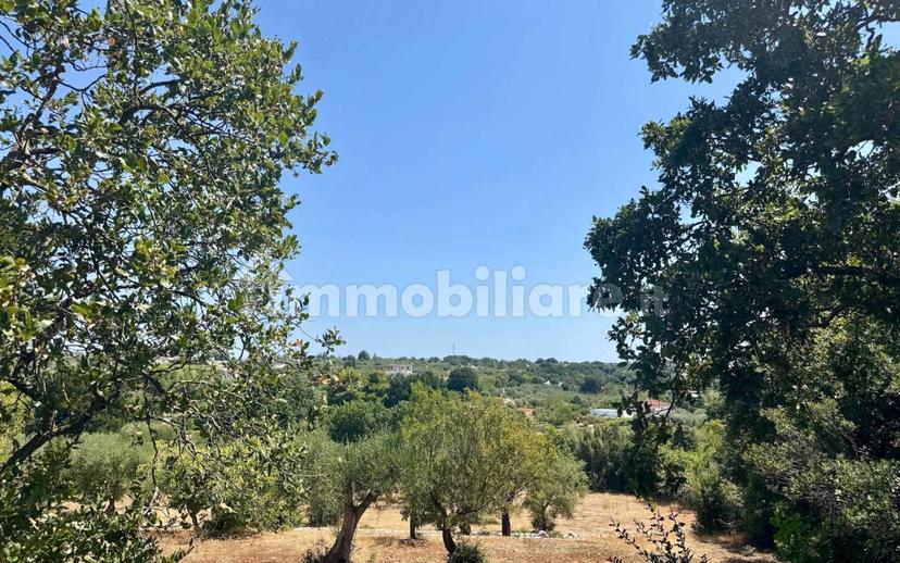 Villa unifamiliare Contrada Gorgofreddo, Gorgofreddo, Monopoli — foto 18 di 52