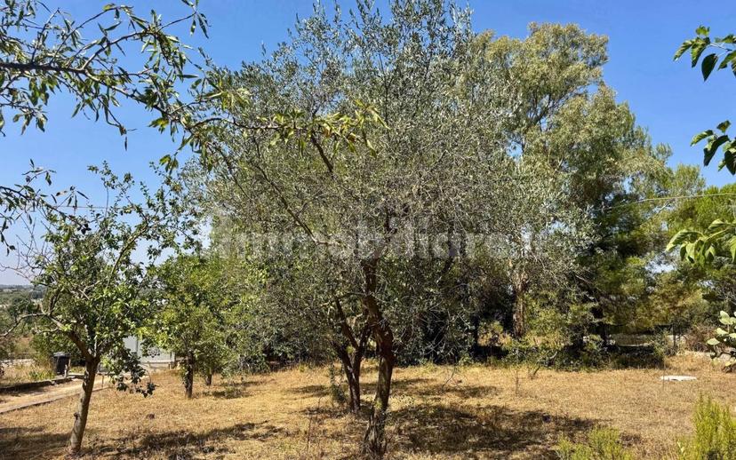 Villa unifamiliare Contrada Gorgofreddo, Gorgofreddo, Monopoli — foto 47 di 52