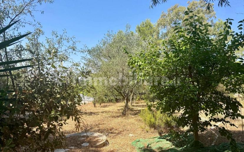 Villa unifamiliare Contrada Gorgofreddo, Gorgofreddo, Monopoli