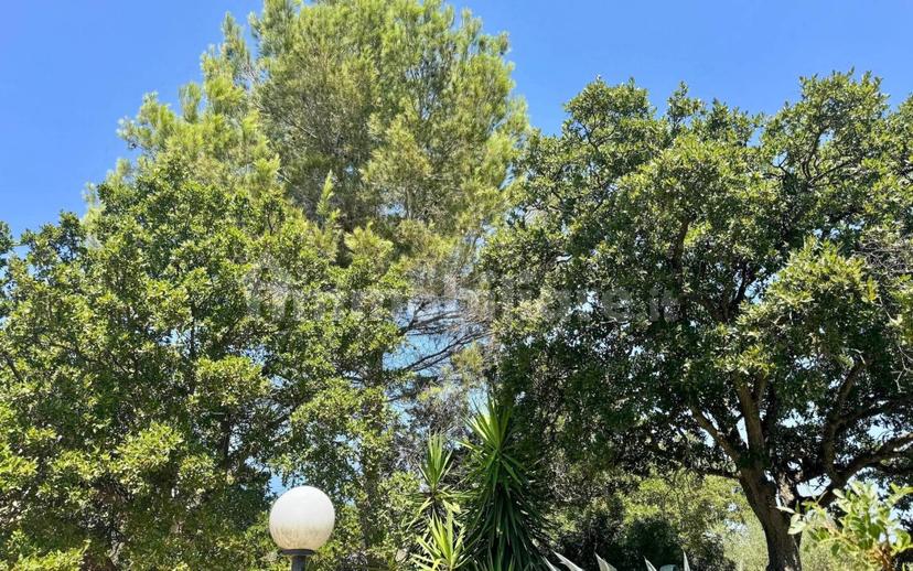 Villa unifamiliare Contrada Gorgofreddo, Gorgofreddo, Monopoli — foto 10 di 52