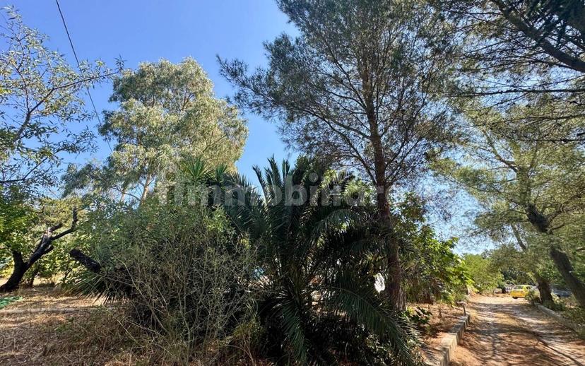 Villa unifamiliare Contrada Gorgofreddo, Gorgofreddo, Monopoli — foto 52 di 52