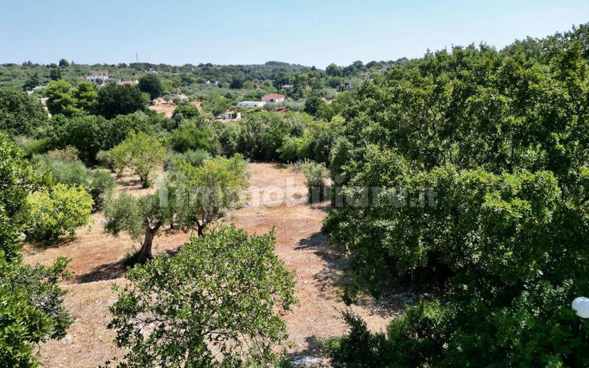 Villa unifamiliare Contrada Gorgofreddo, Gorgofreddo, Monopoli — foto 14 di 52