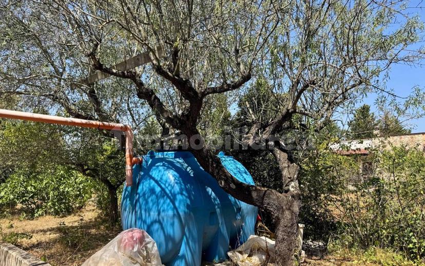 Villa unifamiliare Contrada Gorgofreddo, Gorgofreddo, Monopoli — foto 25 di 52