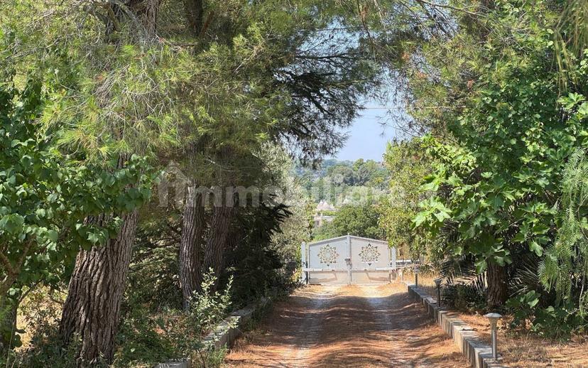 Villa unifamiliare Contrada Gorgofreddo, Gorgofreddo, Monopoli — foto 51 di 52
