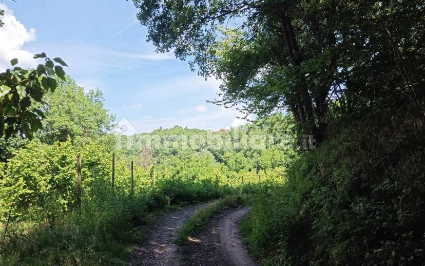Rustico Località Crema, Cortemilia — foto 12 di 15