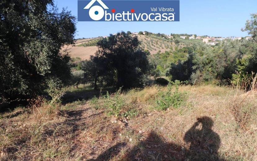 Rustico via Accattapane 49, Corropoli — foto 10 di 14