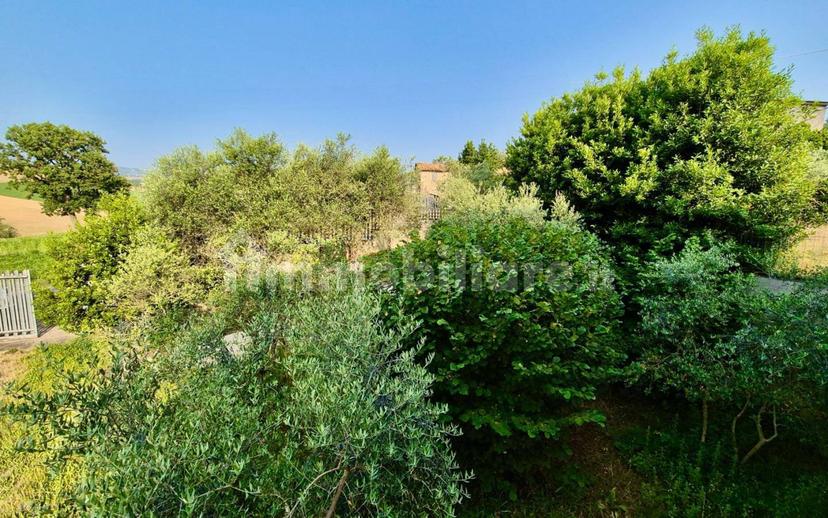 Casale Vocabolo Portafana, Todi — foto 2 di 62