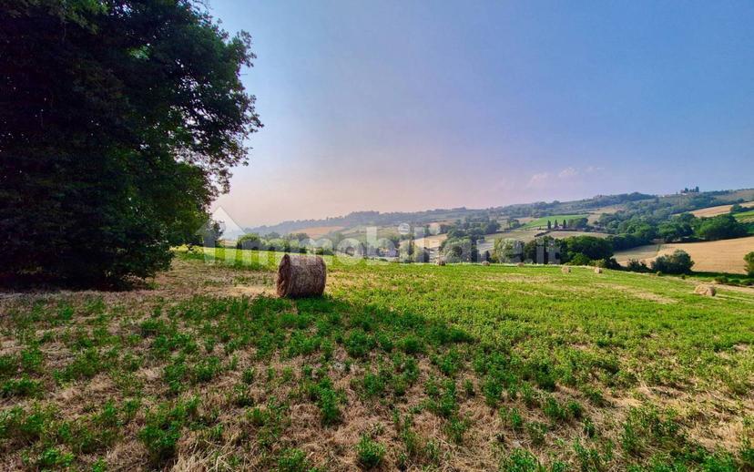 Casale Vocabolo Portafana, Todi — foto 5 di 62