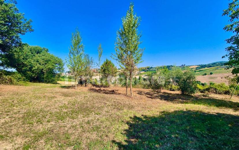 Casale Vocabolo Portafana, Todi — foto 33 di 62