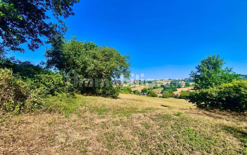 Casale Vocabolo Portafana, Todi — foto 54 di 62