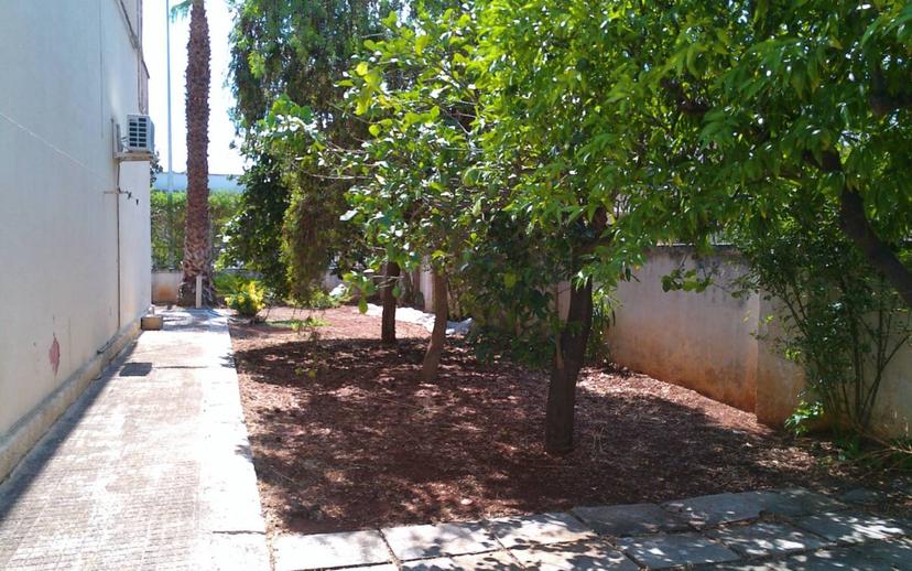 Villa unifamiliare via Lecce 73, Taurisano — foto 2 di 20