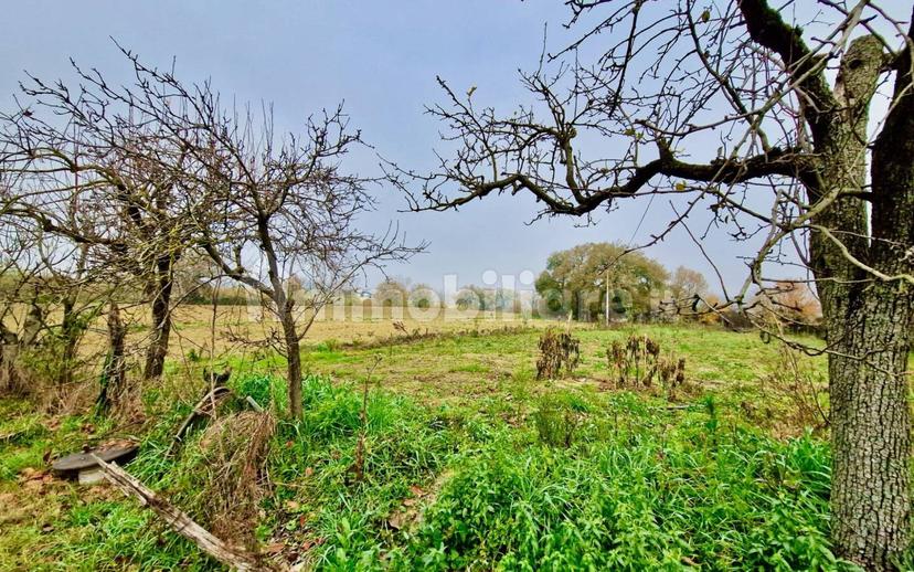 Casale Vocabolo Portafana, Todi — foto 21 di 47