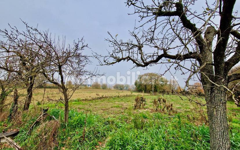 Casale Vocabolo Portafana, Todi — foto 17 di 47
