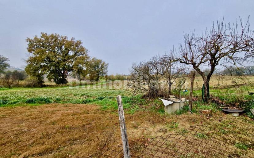 Casale Vocabolo Portafana, Todi — foto 3 di 47
