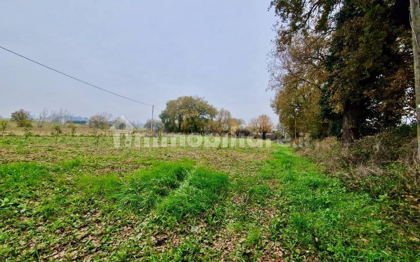 Casale Vocabolo Portafana, Todi — foto 7 di 47