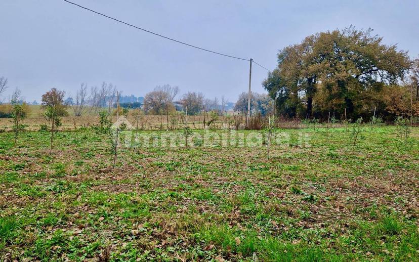 Casale Vocabolo Portafana, Todi — foto 14 di 47