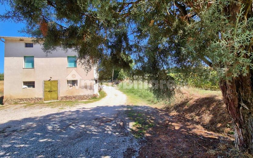 Casale Vocabolo Portafana, Todi — foto 30 di 47