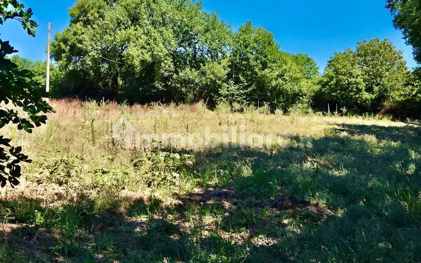 Casale Vocabolo Portafana, Todi — foto 2 di 47