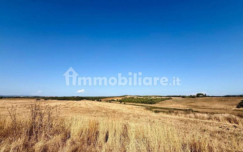 Villa unifamiliare Santa Virginia, Magliano in Toscana — foto 7 di 12