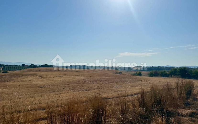 Villa unifamiliare Santa Virginia, Magliano in Toscana — foto 9 di 12