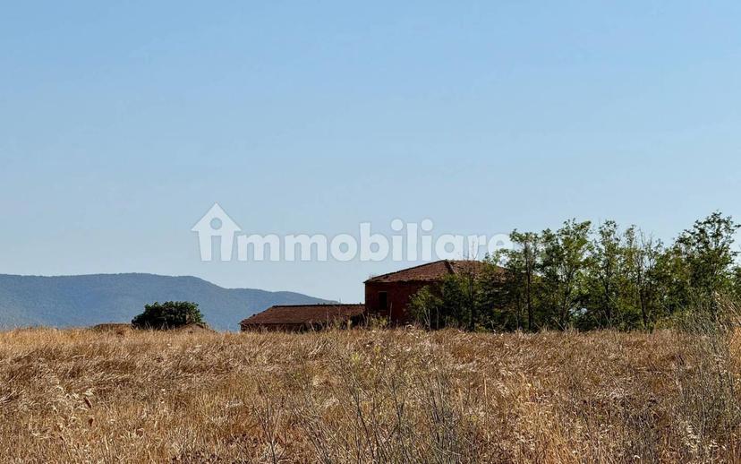 Villa unifamiliare Santa Virginia, Magliano in Toscana — foto 6 di 12
