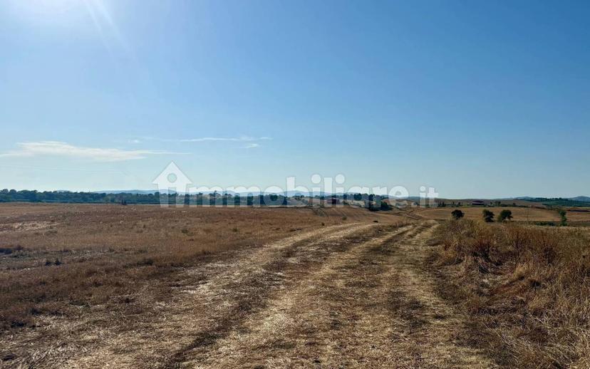 Villa unifamiliare Santa Virginia, Magliano in Toscana — foto 11 di 12