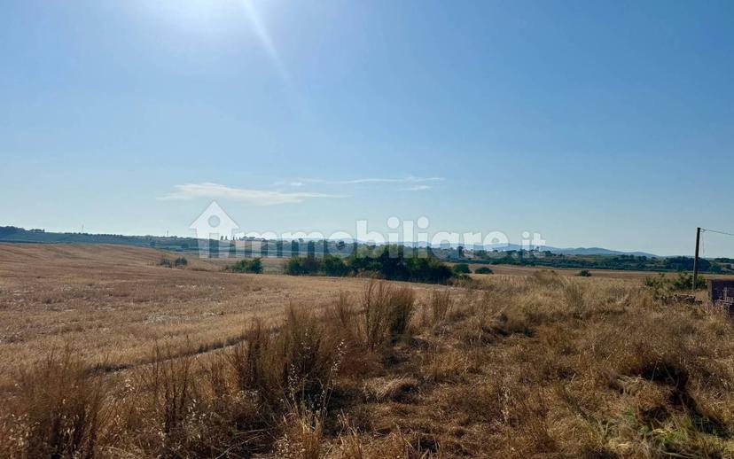 Villa unifamiliare Santa Virginia, Magliano in Toscana — foto 8 di 12