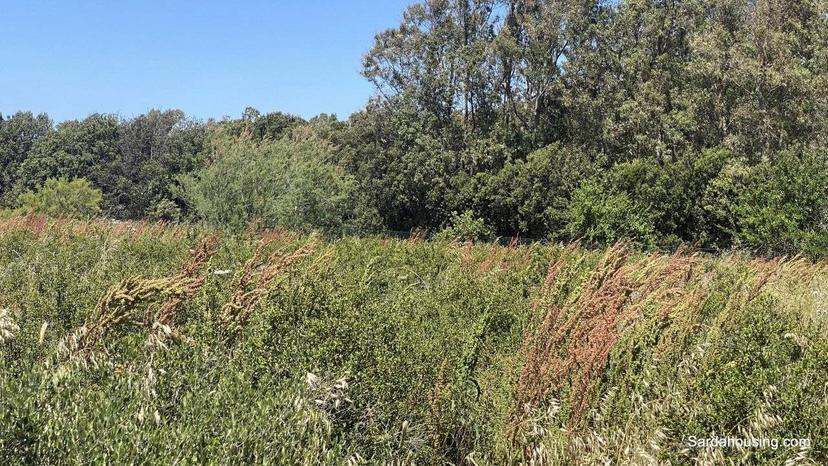Casale monte gonella ,1, Oristano — foto 41 di 49
