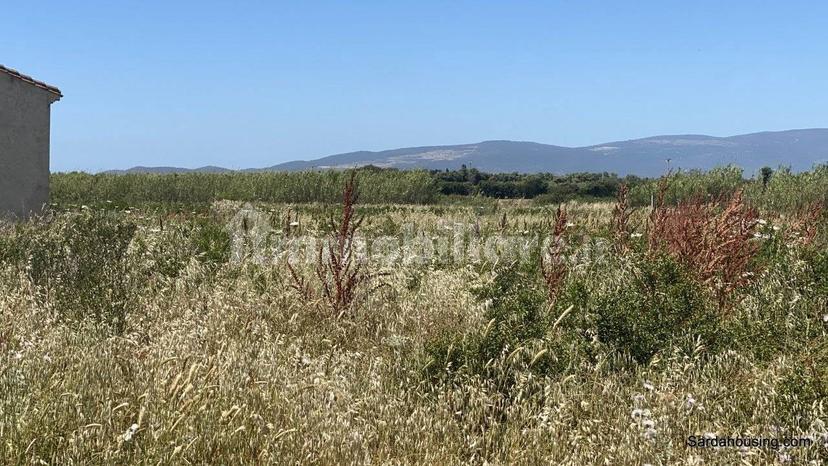 Casale monte gonella ,1, Oristano — foto 38 di 49