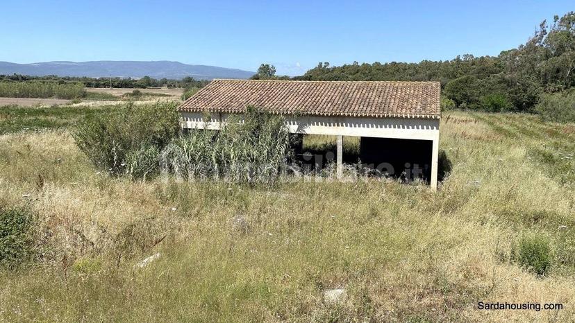 Casale monte gonella ,1, Oristano — foto 44 di 49