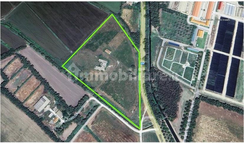 Casale monte gonella ,1, Oristano — foto 42 di 49
