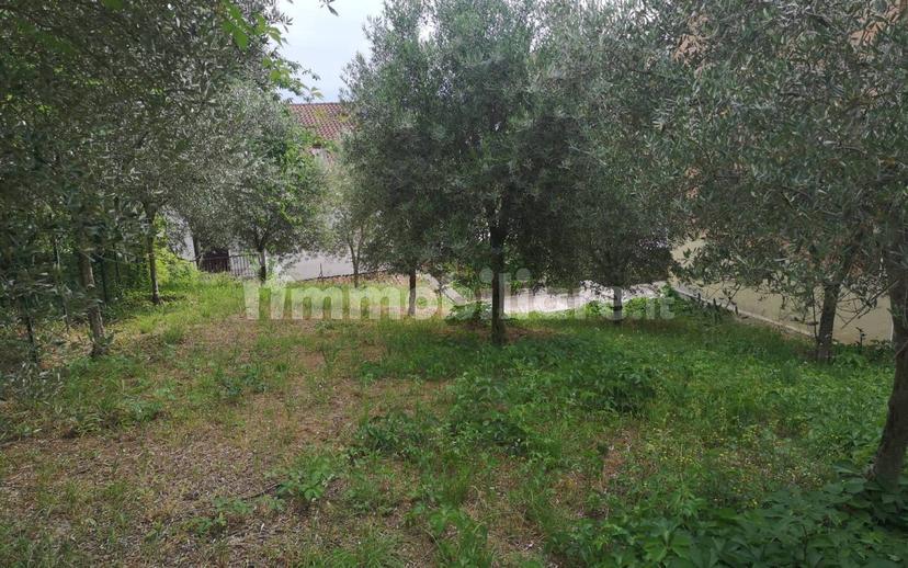 Attico via Sant'Angelo 208, Centro, Mirabella Eclano — foto 7 di 19